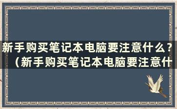 新手购买笔记本电脑要注意什么？ （新手购买笔记本电脑要注意什么）